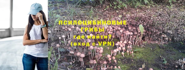 винт Алексеевка
