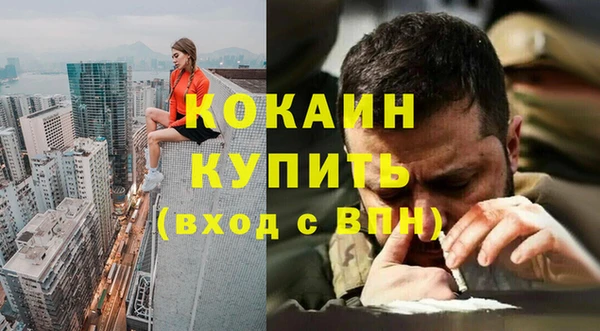 кокс Алексин