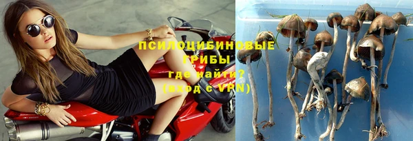 винт Алексеевка