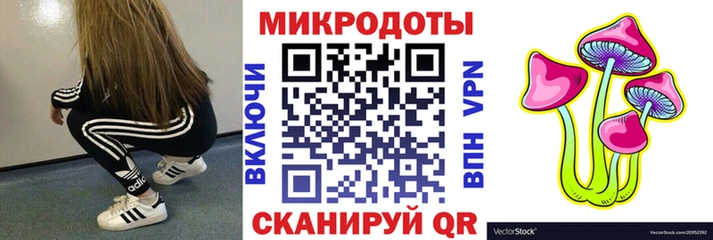 Галлюциногенные грибы Psilocybe продажа наркотиков Чапаевск
