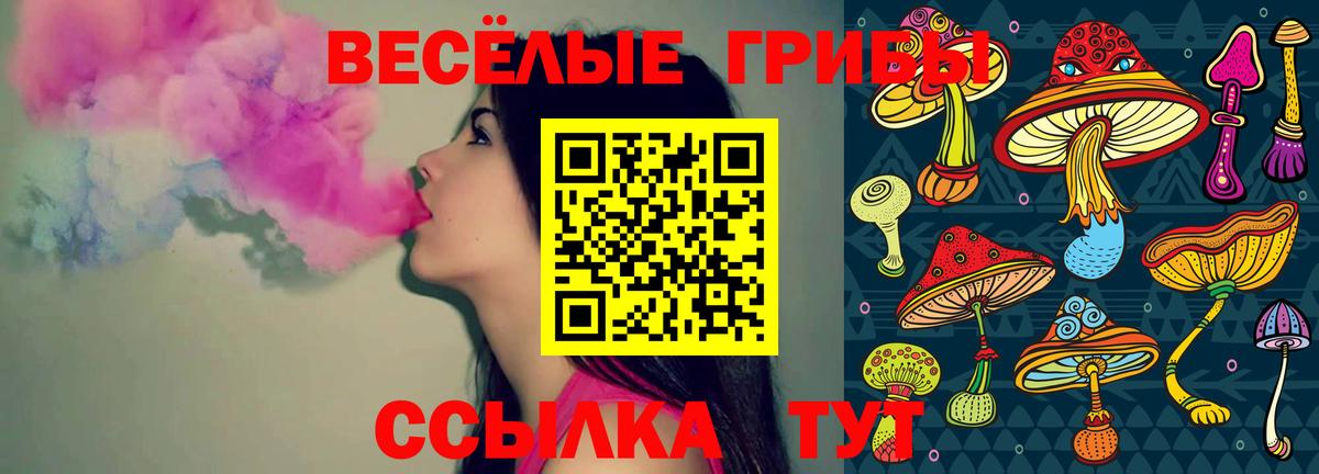 Псилоцибиновые грибы мухоморы Чапаевск